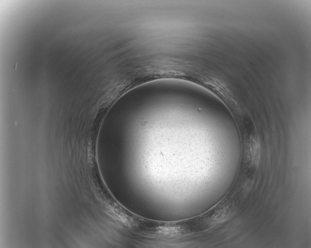 X0000060790457200511141448