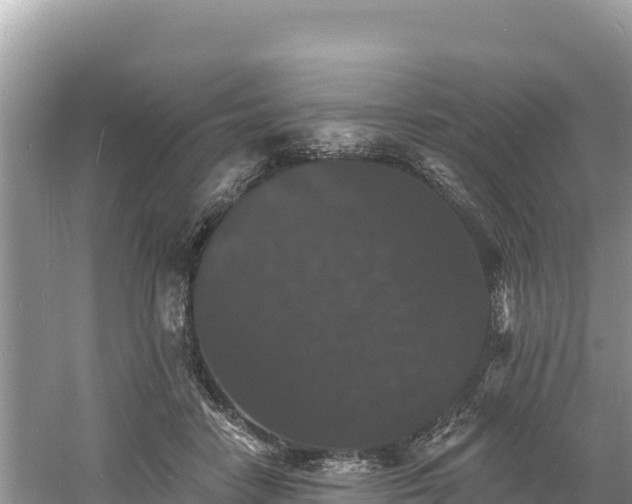 X0000060790458200511141448