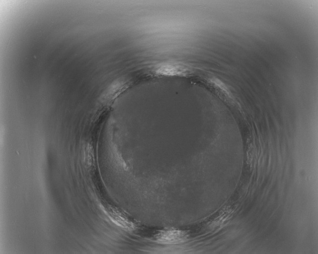 X0000060790459200511141448