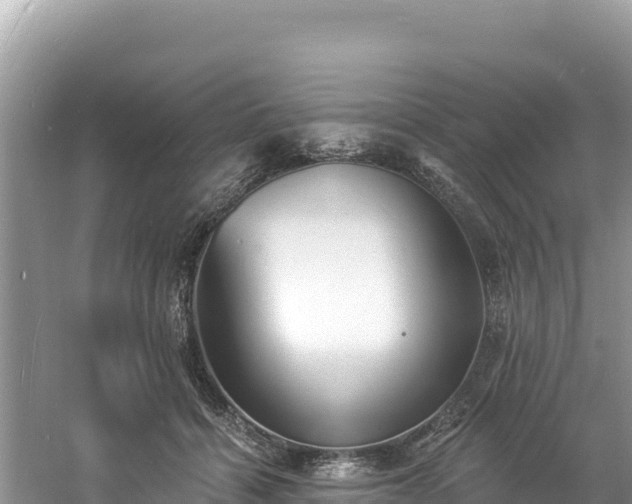 X0000060790460200511141448