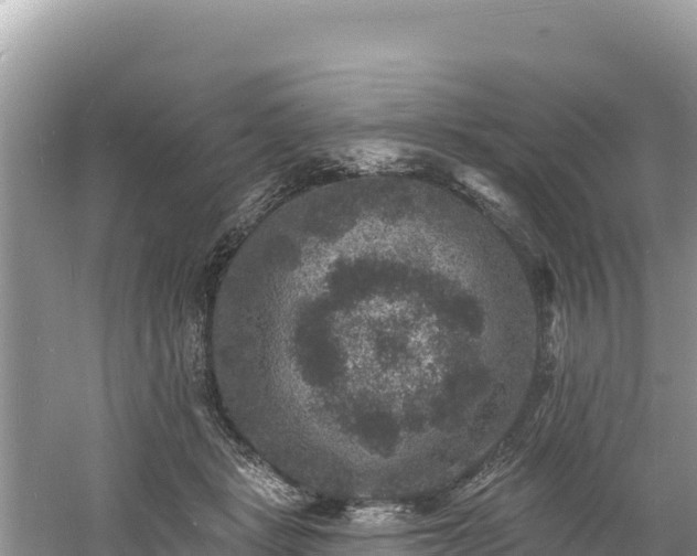 X0000060790461200511141448