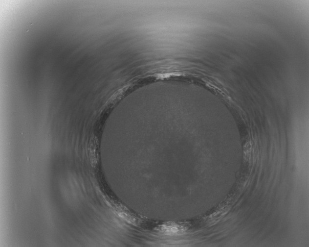 X0000060790464200511141448