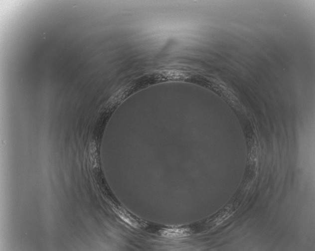 X0000060790465200511141448