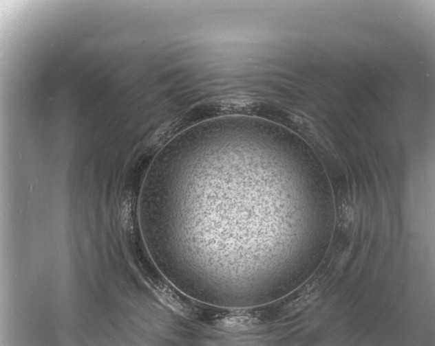 X0000060790468200511141448