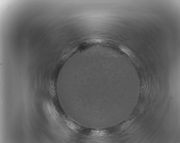 X0000060790469200511141448