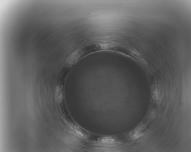 X0000060790471200511141448