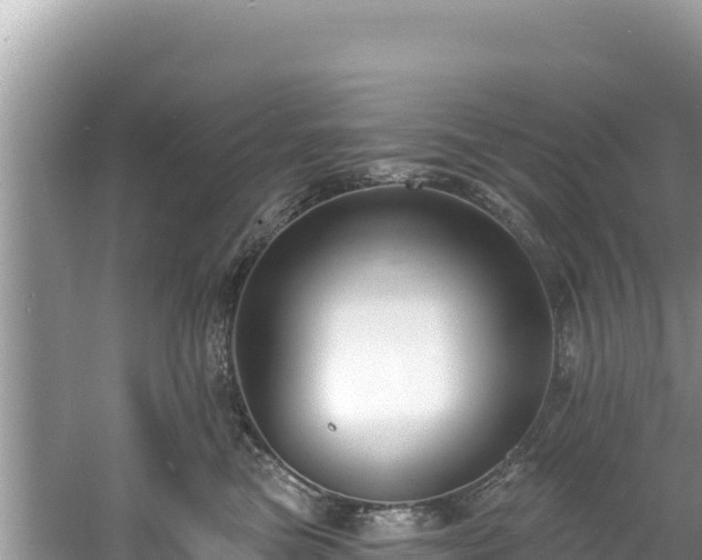 X0000060790473200511141448