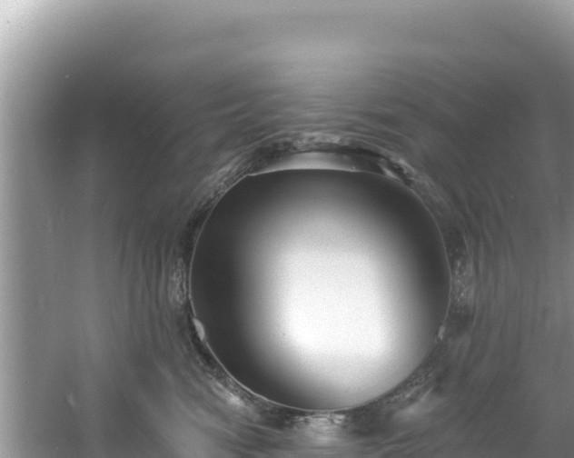 X0000060790474200511141448