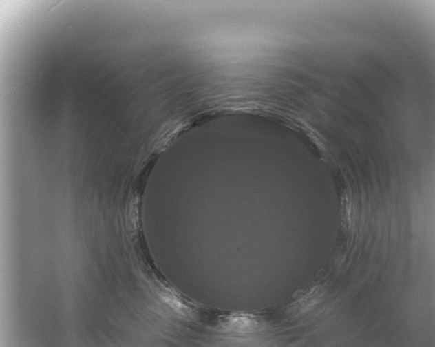 X0000060790475200511141448