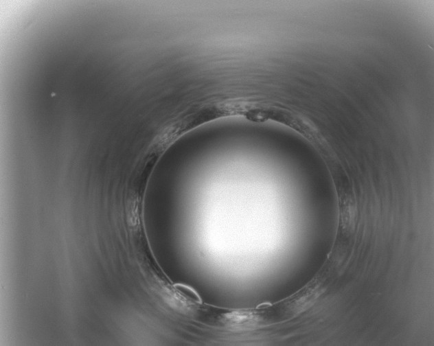 X0000060790477200511141448