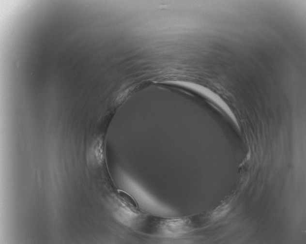 X0000060790479200511141448