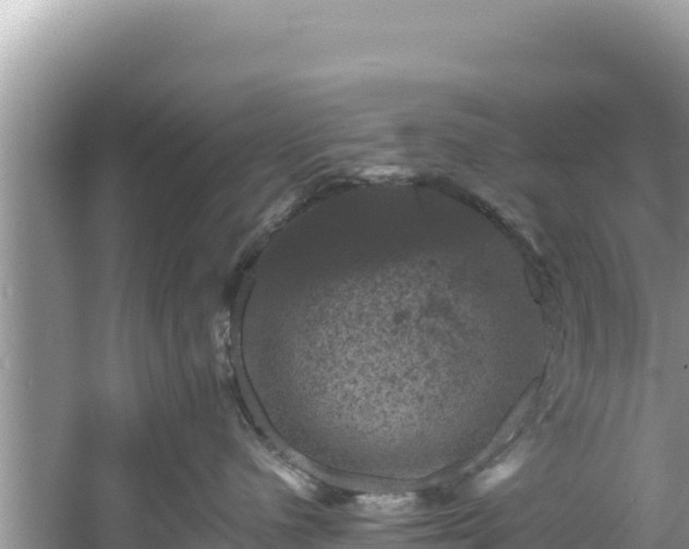 X0000060790480200511141448