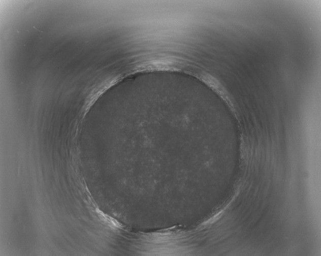 X0000060790481200511141448