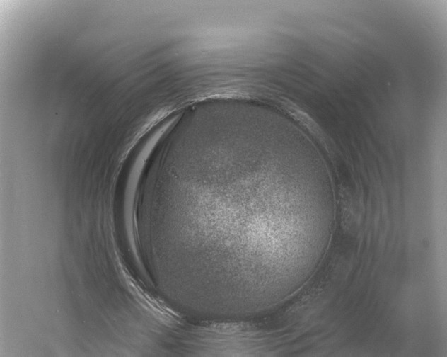 X0000060790482200511141448