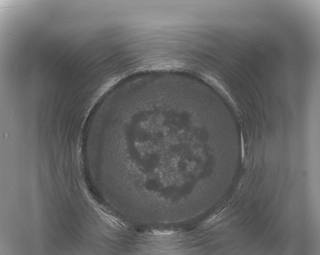 X0000060790483200511141448