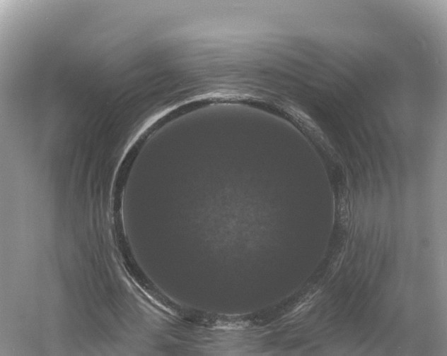 X0000060790484200511141448