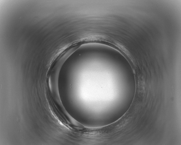 X0000060790485200511141448