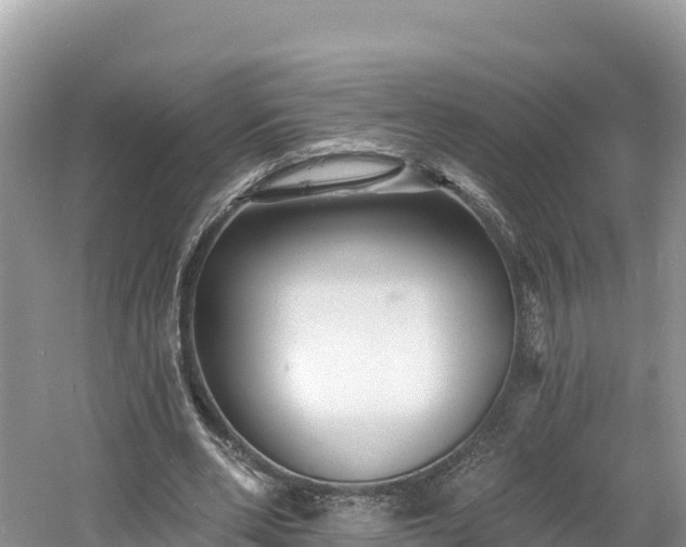 X0000060790486200511141448