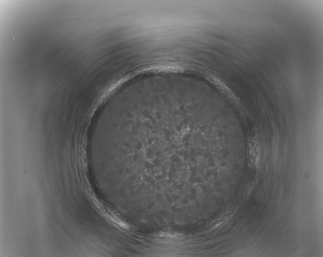 X0000060790487200511141447