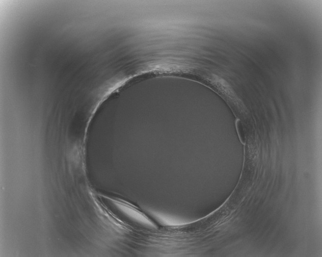 X0000060790488200511141447