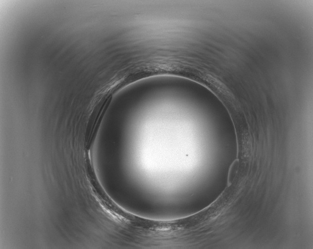 X0000060790489200511141447