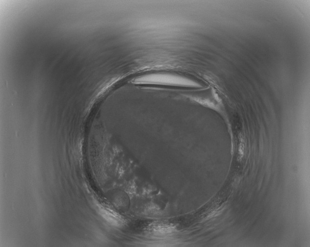 X0000060790491200511141447