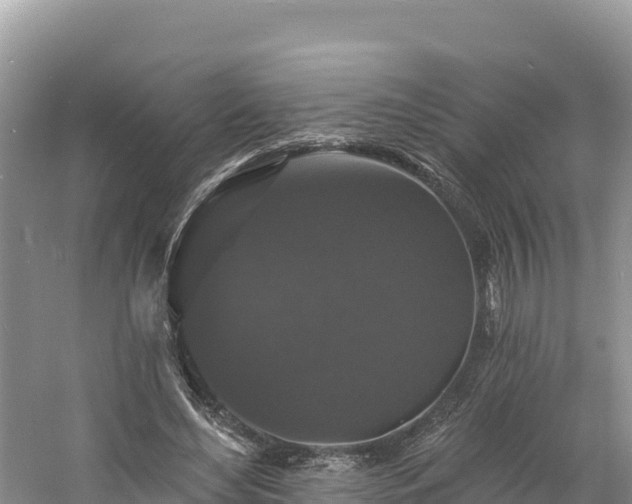 X0000060790492200511141447