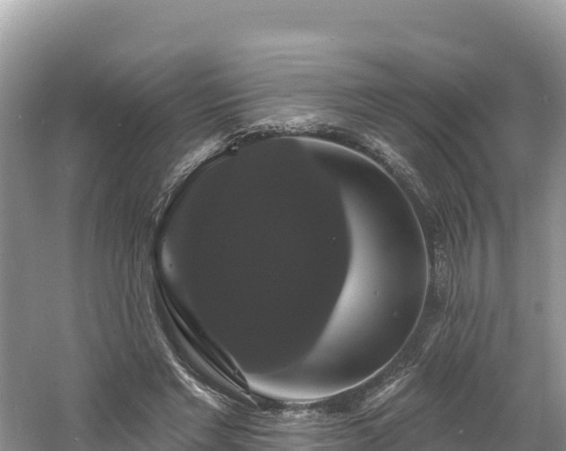 X0000060790493200511141447