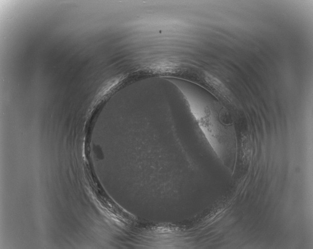 X0000060790494200511141447