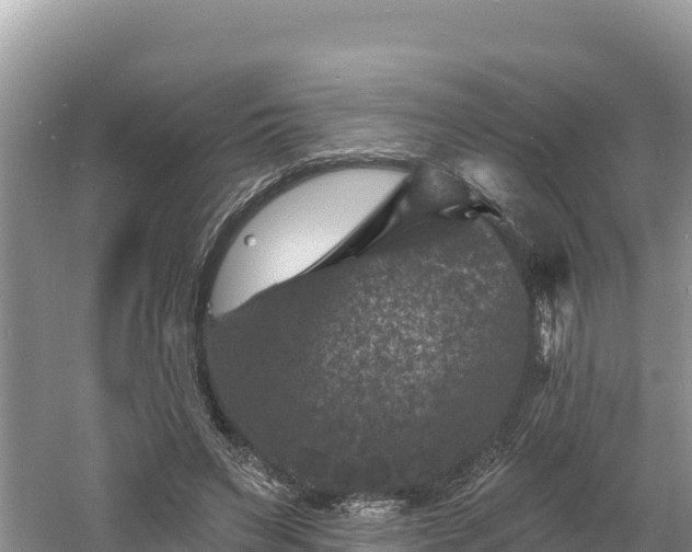 X0000060790495200511141447