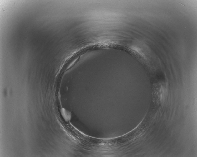 X0000060790496200511141447