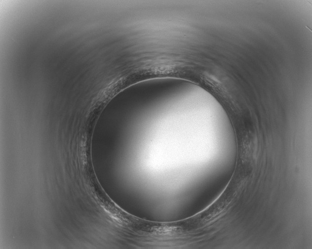 X0000060790497200511141447