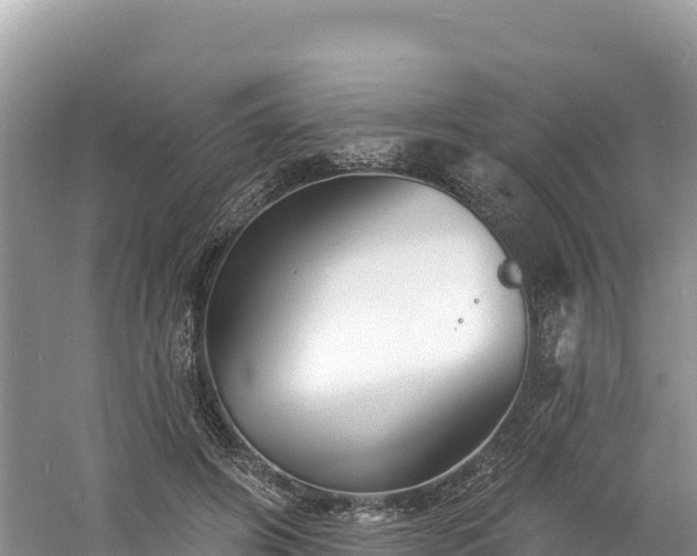 X0000060790498200511141447