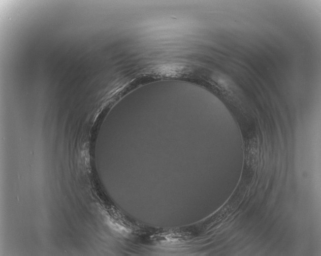 X0000060790500200511141447