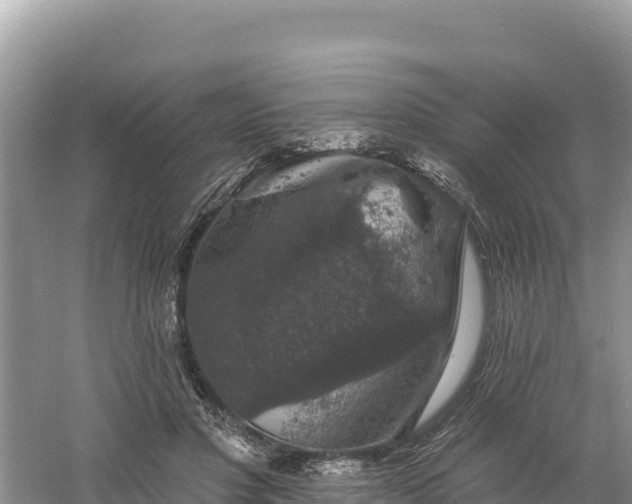 X0000060790501200511141447