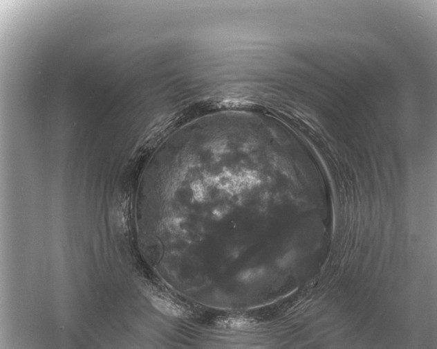 X0000060790503200511141447