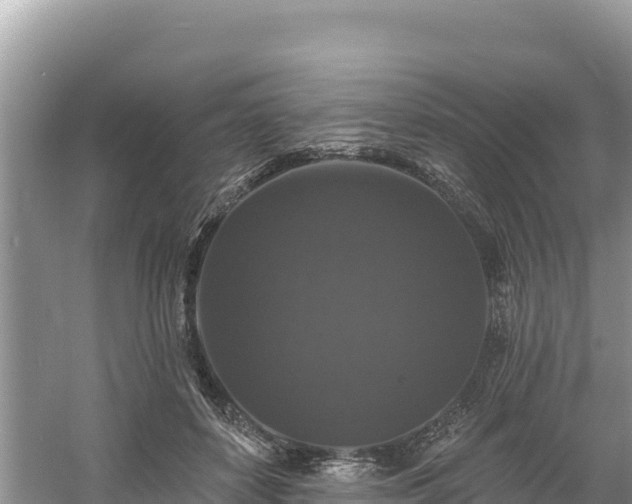 X0000060790504200511141447