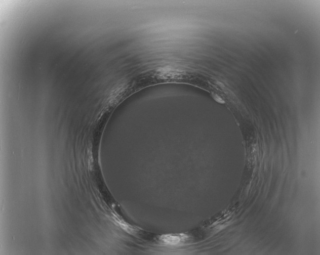 X0000060790508200511141447