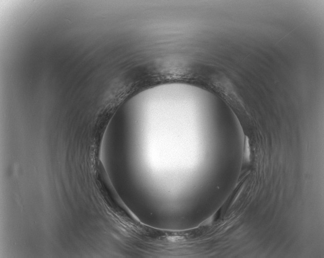 X0000060790509200511141447