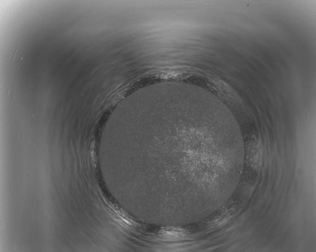 X0000060790510200511141447