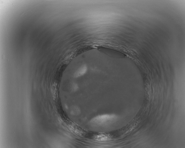 X0000060790511200511141447