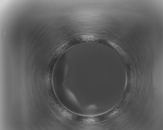 X0000060790513200511141447