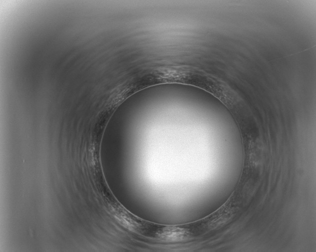 X0000060790514200511141447