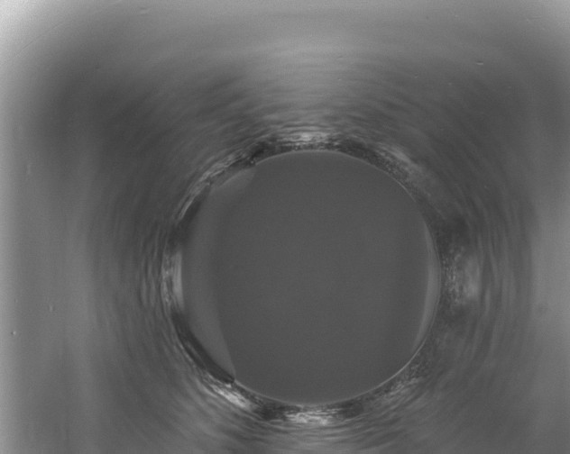 X0000060790516200511141447