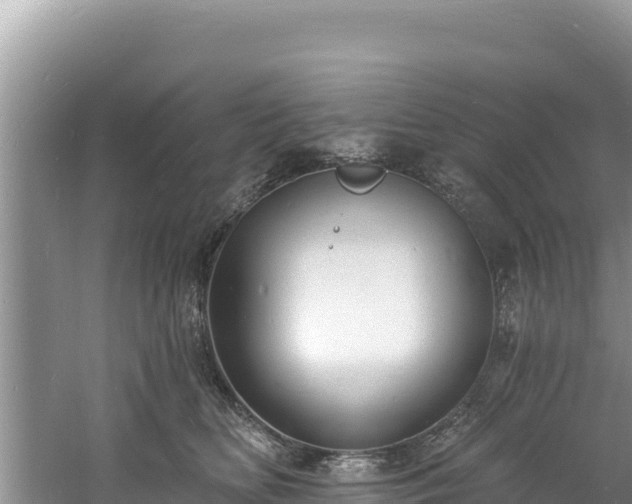 X0000060790518200511141447