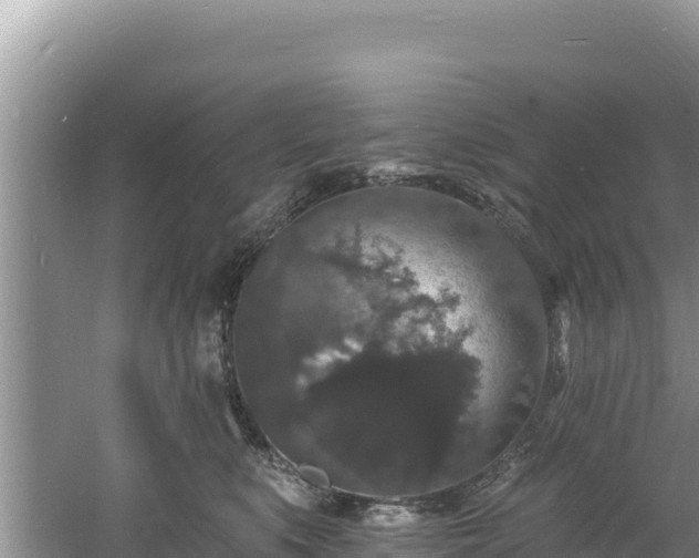 X0000060790519200511141447