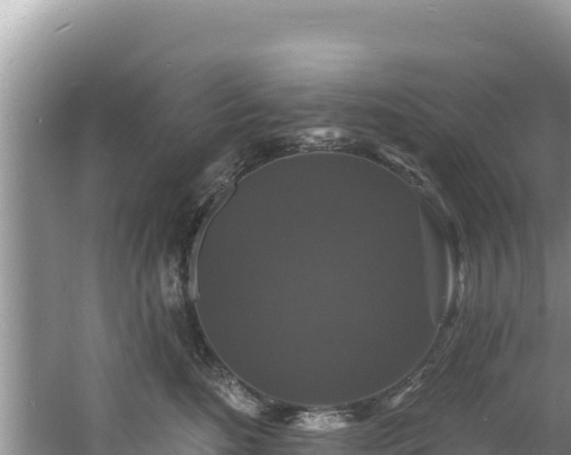 X0000060790520200511141447