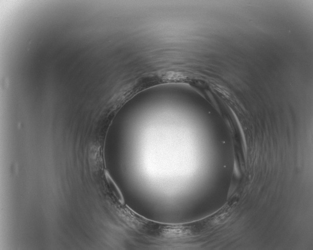 X0000060790521200511141447