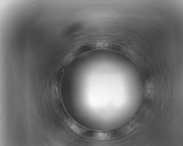 X0000060790522200511141447