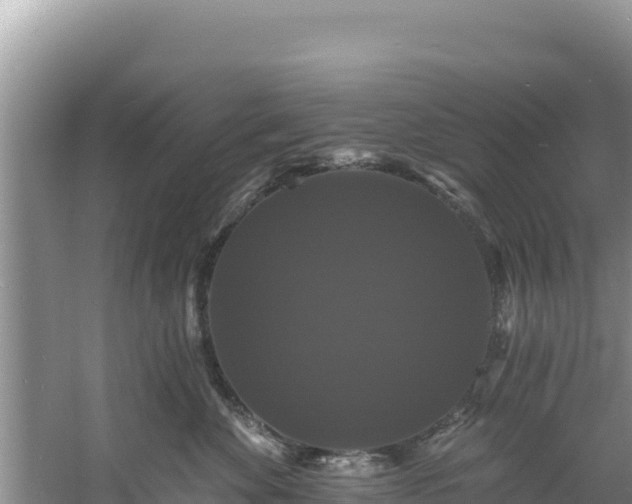 X0000060790524200511141447